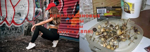 молекула духа Алексин