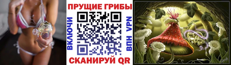 Галлюциногенные грибы ЛСД купить hydra сайт Бирюч
